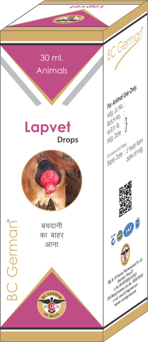 LAPVET DROPS Homeopathic Medicine Treatment Of Uterus in Animals